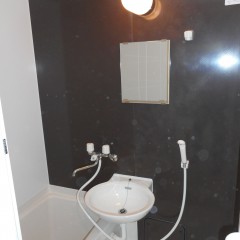 浴室。アクセント色（標準）は茶色を使用しています。