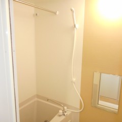 浴室。アクセント色（標準）は茶色を使用しています。